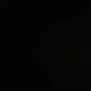 羅本製所 gray turtle 20体限定 - メルカリ