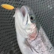 nagiの画像