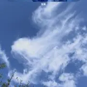 nasyu@24時間以内発送の画像