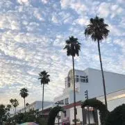 37の画像