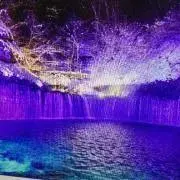 NOVELの画像