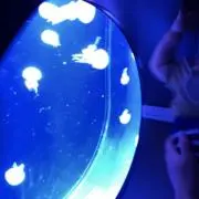 mocoの画像