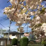 ayの画像