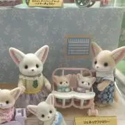 ちむ