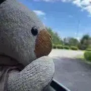 おれたまの画像