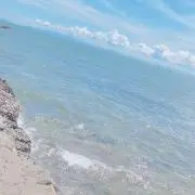 プー
