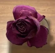 ながはるの画像