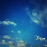 りんご