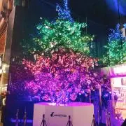 ゆきみの画像