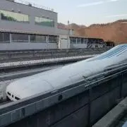 サクちゃんの画像