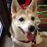 mixkenrina☆彡値下げ交渉歓迎！の画像