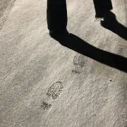 horiの画像