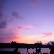 YUPI☆\値下げ中♪/の画像