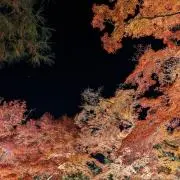 あたの画像