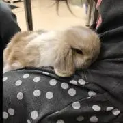 悠真
