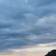 yuyuの画像