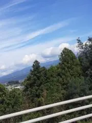 まきの画像