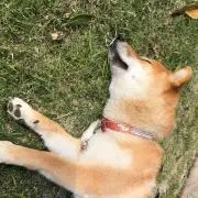 何でも屋