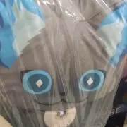 灰色猫の画像