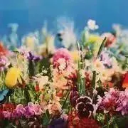 ミッキー