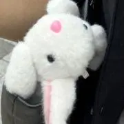 うさぎの画像