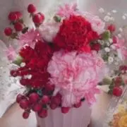 ぴーすけ