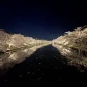 たけぼーの画像