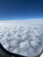 ももの画像