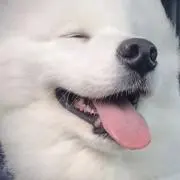 Miri【プロフ必読】の画像