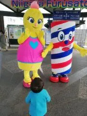あらの画像