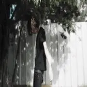 Alfredの画像