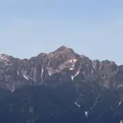 やーさんの画像