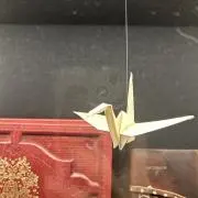 フォイ(購入時はお声がけください)