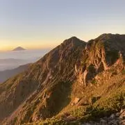 みかんの画像