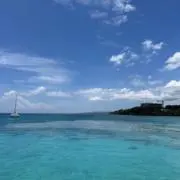 自己紹介文の確認お願いします‼️の画像