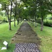 yuの画像