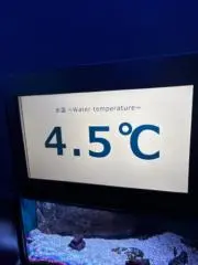 鎌の画像