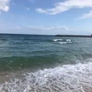 ゆーの画像