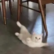 ほっけの画像