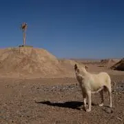 Image of mar