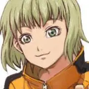 桔梗の画像