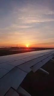ゆうの画像