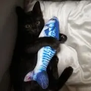 福の画像