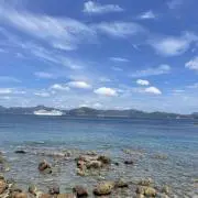 うぃすの画像