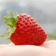 かい