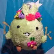 ばるさみこすの画像