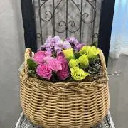 どんごろすの画像