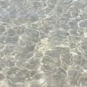 SUNの画像