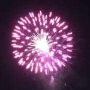 たろうの画像