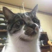 ききょう★自己紹介必読！！★